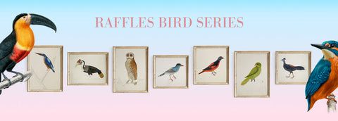 Raffles Bird Series